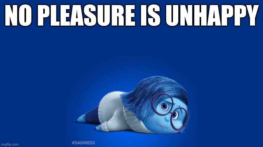 Inside Out Sadness | NO PLEASURE IS UNHAPPY | image tagged in inside out sadness,pleasure,unhappy,inside out 2,inside out,sadness | made w/ Imgflip meme maker