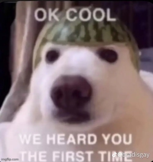 @Memeus | image tagged in ok cool we heard you the first time | made w/ Imgflip meme maker