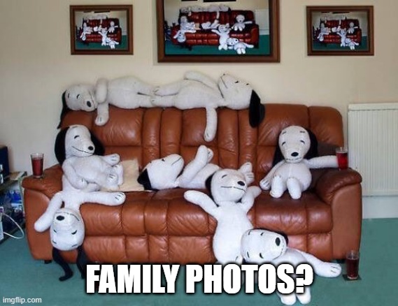 Dogs | FAMILY PHOTOS? | image tagged in random | made w/ Imgflip meme maker