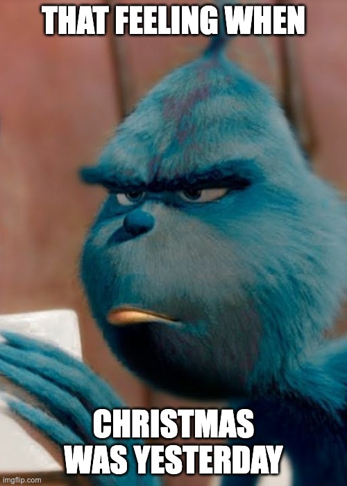 Sad blue grinch | THAT FEELING WHEN; CHRISTMAS WAS YESTERDAY | image tagged in sad blue grinch,memes,funny,blue grinch,knee surgery | made w/ Imgflip meme maker