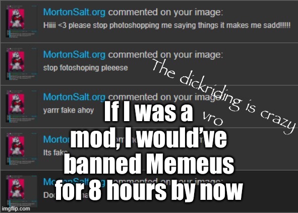 This shit’s getting annoying | If I was a mod, I would’ve banned Memeus for 8 hours by now | image tagged in the dickriding is crazy vro | made w/ Imgflip meme maker