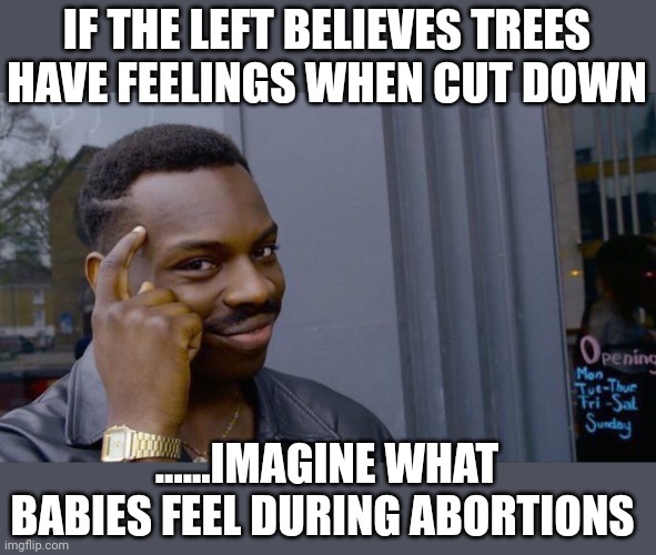 The end is nigh | IF THE LEFT BELIEVES TREES HAVE FEELINGS WHEN CUT DOWN; ......IMAGINE WHAT BABIES FEEL DURING ABORTIONS | image tagged in memes,roll safe think about it | made w/ Imgflip meme maker