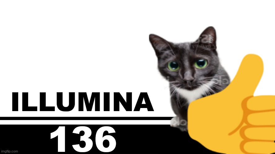Smash Bros. Ultimate character card | ILLUMINA; 136 | image tagged in smash bros ultimate character card | made w/ Imgflip meme maker