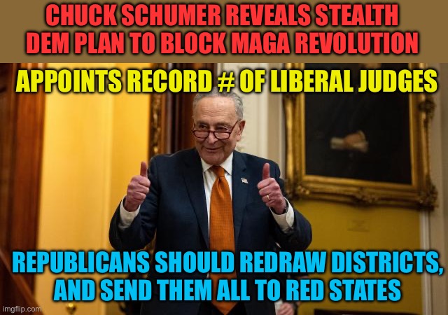 Democrats are the problem in America | CHUCK SCHUMER REVEALS STEALTH DEM PLAN TO BLOCK MAGA REVOLUTION; APPOINTS RECORD # OF LIBERAL JUDGES; REPUBLICANS SHOULD REDRAW DISTRICTS,  AND SEND THEM ALL TO RED STATES | image tagged in gifs,democrats,chuck schumer,corruption,incompetence | made w/ Imgflip meme maker