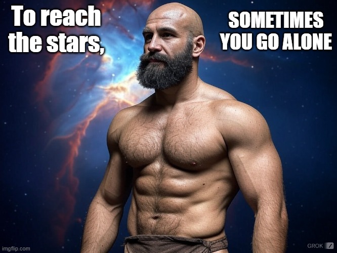 To reach the stars sometimes you go alone | SOMETIMES YOU GO ALONE; To reach the stars, | image tagged in muscles,gym | made w/ Imgflip meme maker