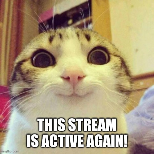 Wooohoooo | THIS STREAM IS ACTIVE AGAIN! | image tagged in memes,smiling cat,yeah,sans undertale has eaten you skin | made w/ Imgflip meme maker