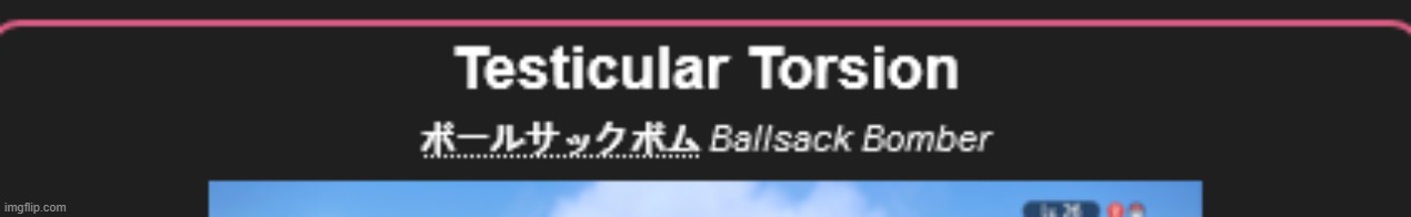 ボールサックボム (Ballsack Bomber/Testicular Torsion) | image tagged in ballsack bomber/testicular torsion | made w/ Imgflip meme maker