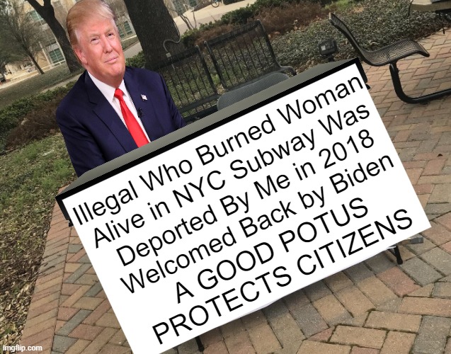 Let This Sink In | Illegal Who Burned Woman 
Alive in NYC Subway Was 
Deported By Me in 2018
Welcomed Back by Biden; A GOOD POTUS 
PROTECTS CITIZENS | image tagged in donald trump,illegal aliens,wait that's illegal,joe biden,good vs evil,protect americans | made w/ Imgflip meme maker