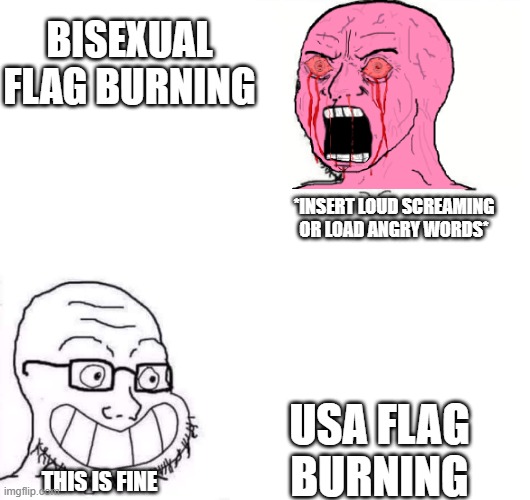 Hypocrite Neckbeard | BISEXUAL FLAG BURNING; *INSERT LOUD SCREAMING OR LOAD ANGRY WORDS*; USA FLAG BURNING; THIS IS FINE | image tagged in hypocrite neckbeard | made w/ Imgflip meme maker