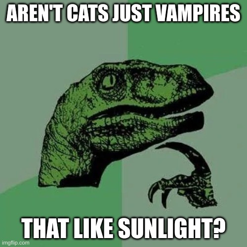 Drac kitty | AREN'T CATS JUST VAMPIRES; THAT LIKE SUNLIGHT? | image tagged in raptor asking questions,cats | made w/ Imgflip meme maker