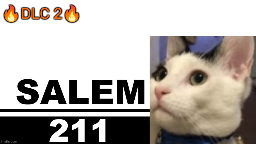Smash Bros. Ultimate character card | 🔥DLC 2🔥; SALEM; 211 | image tagged in smash bros ultimate character card | made w/ Imgflip meme maker