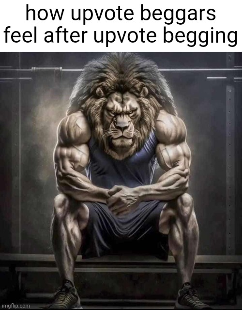 i just wish they would stop upvote begging and just make good memes for once | how upvote beggars feel after upvote begging | image tagged in how bro felt after saying that,aub,hi,tag,tags,stop upvote begging | made w/ Imgflip meme maker