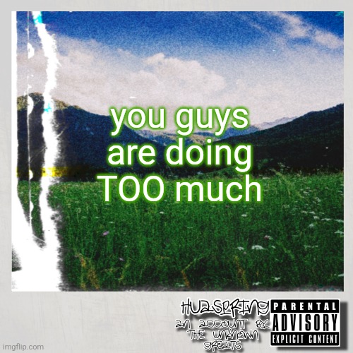 acting like I'm saying hard r | you guys are doing TOO much | image tagged in huaspring temp | made w/ Imgflip meme maker