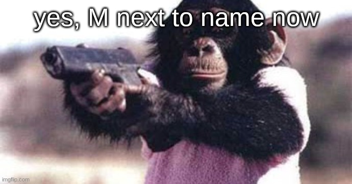 monkey crashout | yes, M next to name now | image tagged in monkey crashout | made w/ Imgflip meme maker