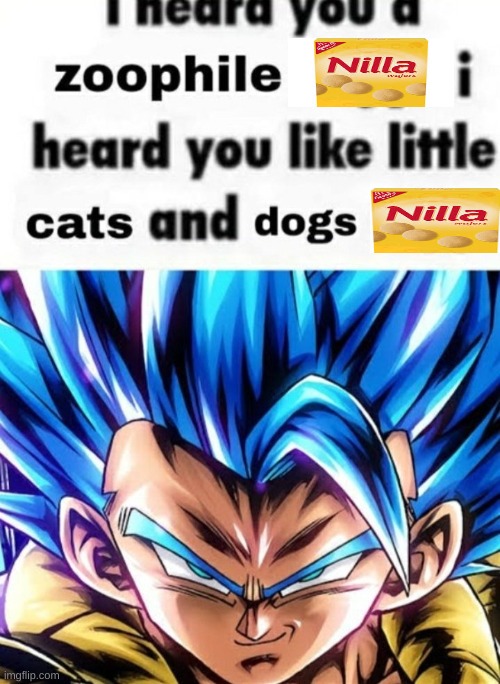 I heard you a zoophile | image tagged in i heard you a zoophile | made w/ Imgflip meme maker