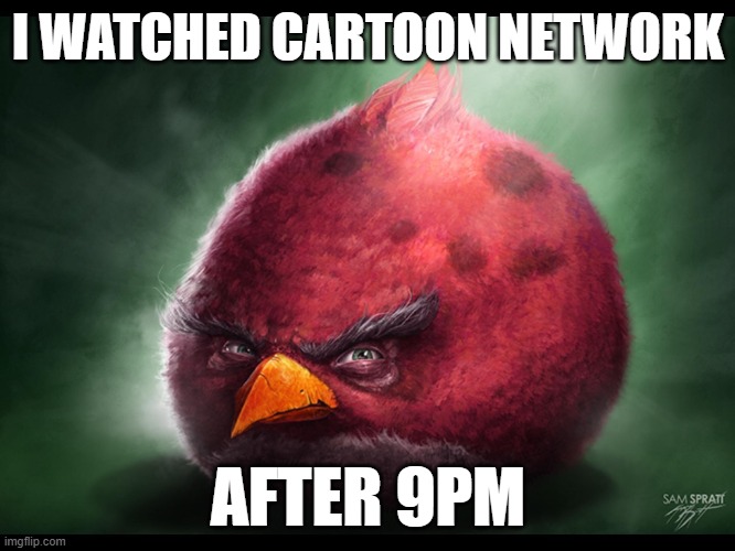 when the | I WATCHED CARTOON NETWORK; AFTER 9PM | image tagged in realistic angry bird big red,cartoon network,cartoon,night | made w/ Imgflip meme maker