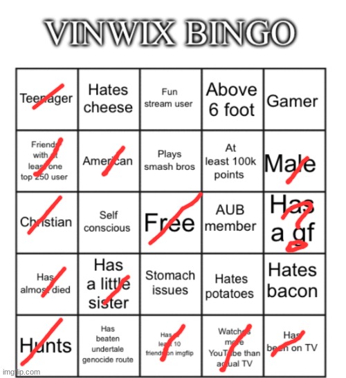 VinWix bingo | image tagged in vinwix bingo | made w/ Imgflip meme maker