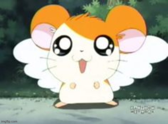 cutieee | made w/ Imgflip meme maker