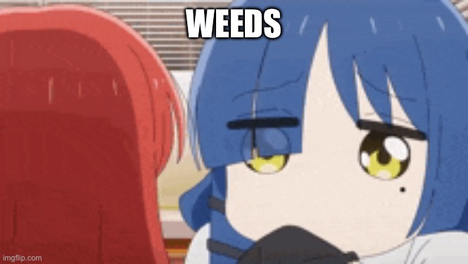 My content is just this | WEEDS | image tagged in ryo paypal | made w/ Imgflip meme maker