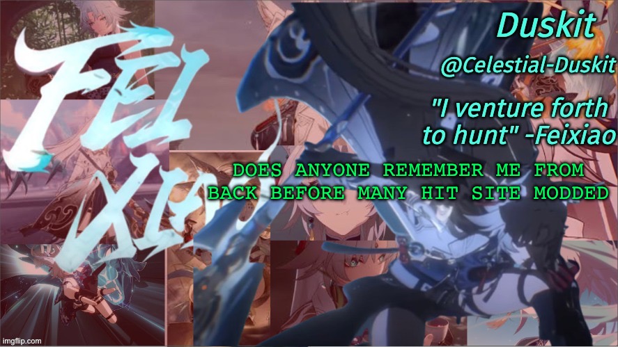 That was the true golden age | DOES ANYONE REMEMBER ME FROM BACK BEFORE MANY HIT SITE MODDED | image tagged in duskit's feixiao template | made w/ Imgflip meme maker