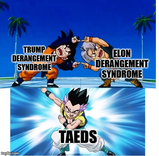 Fusion | TRUMP DERANGEMENT SYNDROME ELON DERANGEMENT SYNDROME TAEDS | image tagged in fusion | made w/ Imgflip meme maker