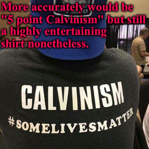 #Somelivesmatter | More accurately would be "5 point Calvinism" but still; a highly entertaining shirt nonetheless. | image tagged in calvinism,arminian,molinism,reformed theology 5 point calvinists,some lives matter,ai puppet zombie theology | made w/ Imgflip meme maker