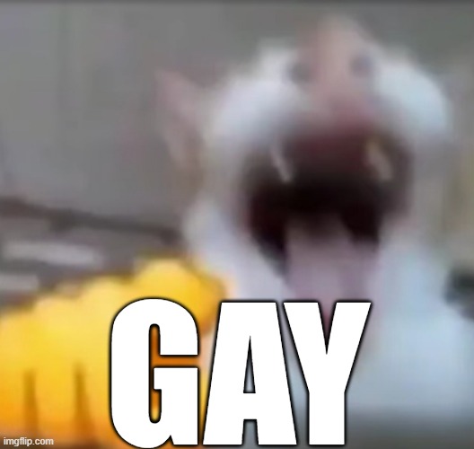 Cat pointing and laughing | GAY | image tagged in cat pointing and laughing | made w/ Imgflip meme maker