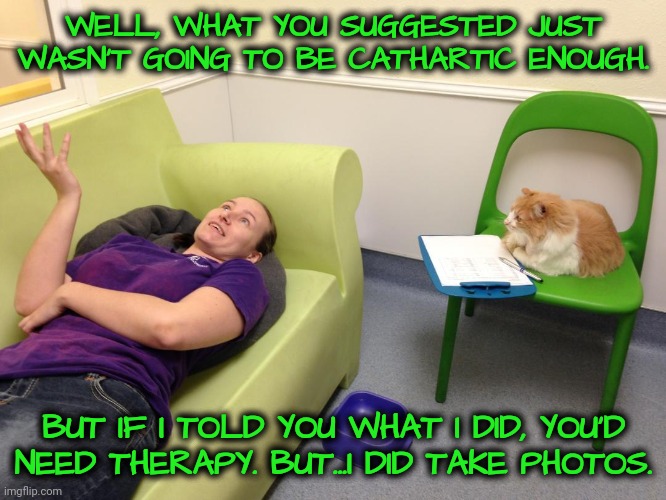 My Therapist Needed Therapy After Our Sessions | WELL, WHAT YOU SUGGESTED JUST WASN'T GOING TO BE CATHARTIC ENOUGH. BUT IF I TOLD YOU WHAT I DID, YOU'D NEED THERAPY. BUT...I DID TAKE PHOTOS | image tagged in therapist couch | made w/ Imgflip meme maker