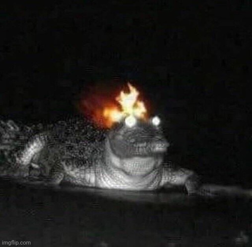 Gator Fire | image tagged in gator fire | made w/ Imgflip meme maker