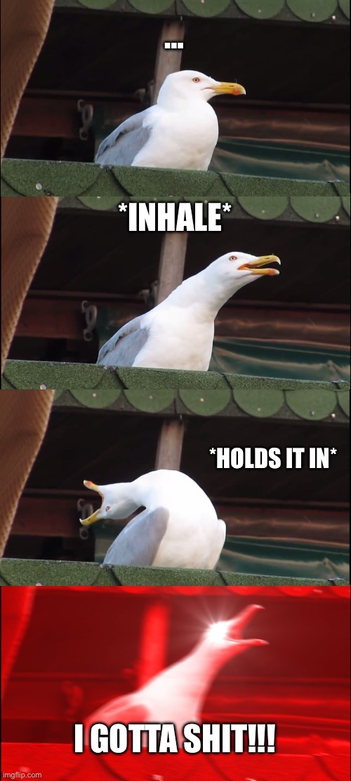 He’s gotta shit. | …; *INHALE*; *HOLDS IT IN*; I GOTTA SHIT!!! | image tagged in memes,inhaling seagull | made w/ Imgflip meme maker