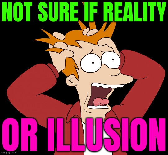 Not Sure If Reality Or Illusion | NOT SURE IF REALITY; OR ILLUSION | image tagged in futurama fry screaming,illusion,reality,philosophy,god religion universe,universe | made w/ Imgflip meme maker