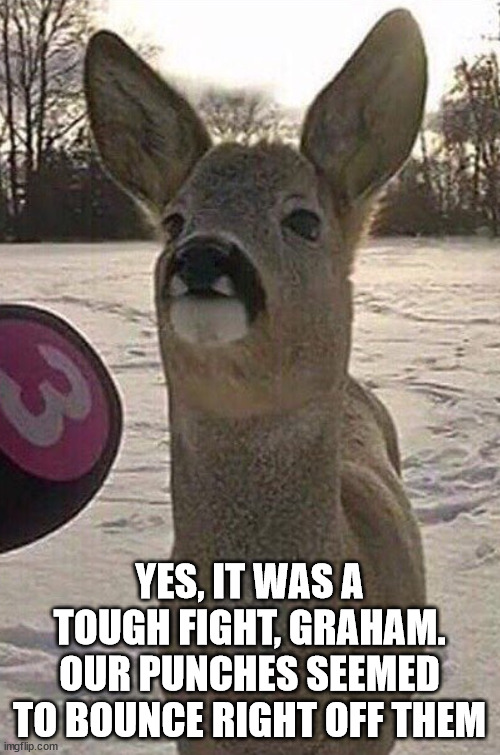 Deer Interview | YES, IT WAS A TOUGH FIGHT, GRAHAM. OUR PUNCHES SEEMED TO BOUNCE RIGHT OFF THEM | image tagged in deer interview | made w/ Imgflip meme maker