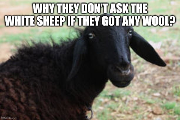 black sheep | WHY THEY DON'T ASK THE WHITE SHEEP IF THEY GOT ANY WOOL? | image tagged in black sheep | made w/ Imgflip meme maker