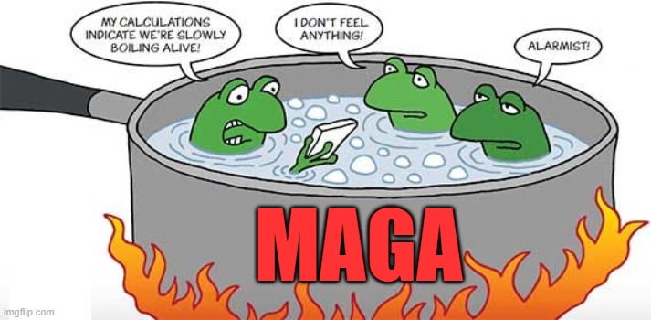 MAGA Republicans | MAGA | image tagged in maga,maga republicans,republicans,conservatives,america first | made w/ Imgflip meme maker