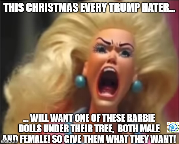 politics | THIS CHRISTMAS EVERY TRUMP HATER... ... WILL WANT ONE OF THESE BARBIE DOLLS UNDER THEIR TREE,  BOTH MALE AND FEMALE! SO GIVE THEM WHAT THEY WANT! | image tagged in political meme | made w/ Imgflip meme maker