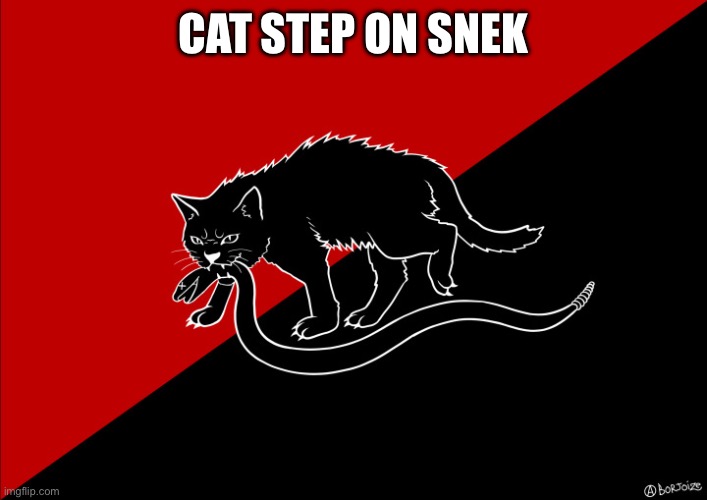 Sabo cat with snake | CAT STEP ON SNEK | image tagged in sabo cat with snake | made w/ Imgflip meme maker