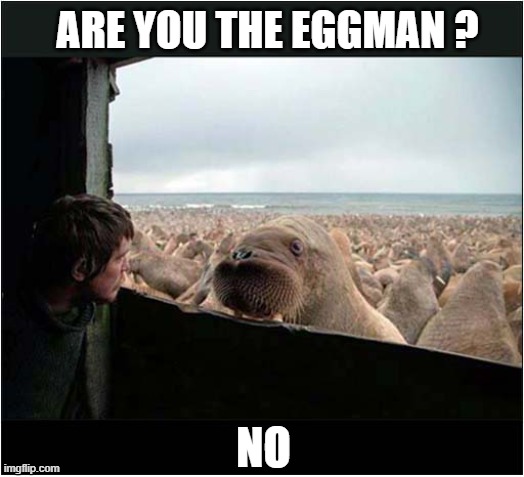 Who Are You ? | ARE YOU THE EGGMAN ? NO | image tagged in beatles,who are you,eggman | made w/ Imgflip meme maker