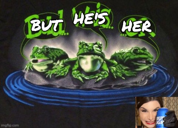 Budweiser Frogs | BUT HE'S HER | image tagged in budweiser frogs | made w/ Imgflip meme maker