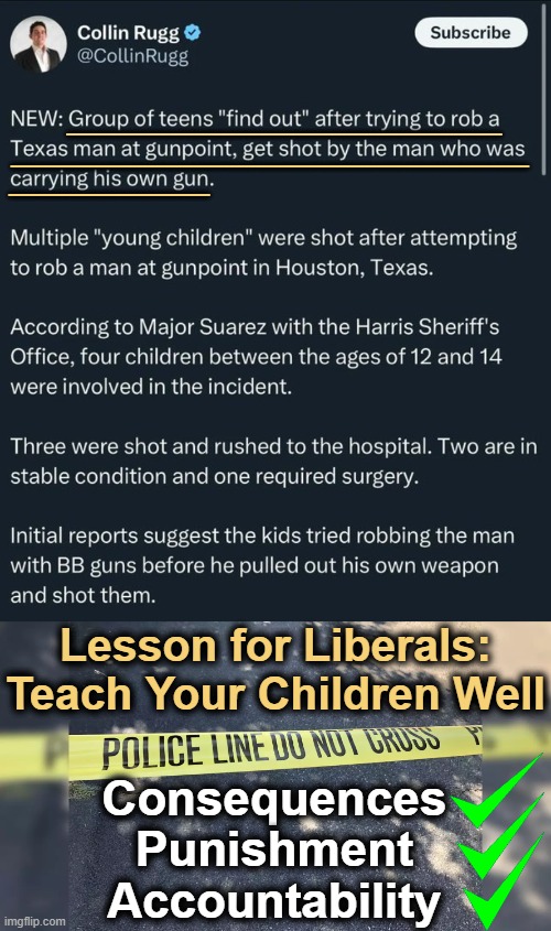 Wake Up Call For The Woke; Good Parenting/Adulting Can Stop a Lot of Crime Committed | _________________; _______; _________________; Lesson for Liberals:
Teach Your Children Well; Consequences 
Punishment 
Accountability | image tagged in education,parenting,adulting,consequences,punishment,psa for parents | made w/ Imgflip meme maker