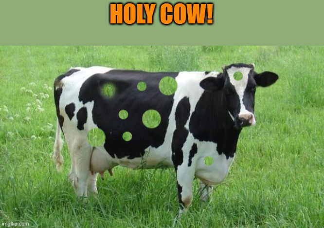 HOLY COW! | made w/ Imgflip meme maker