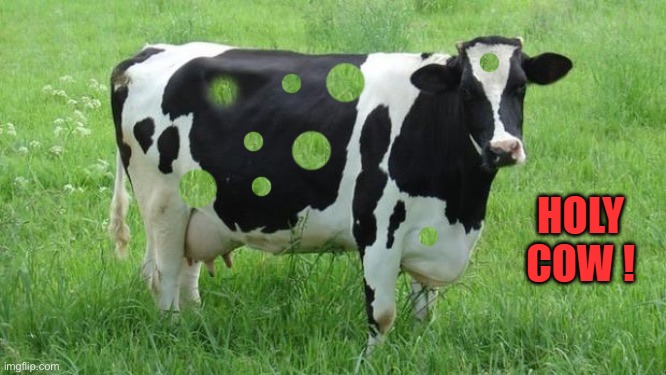 HOLY COW ! | made w/ Imgflip meme maker