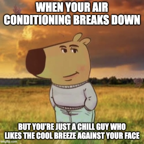 That's why he's standing in a field... | WHEN YOUR AIR CONDITIONING BREAKS DOWN; BUT YOU'RE JUST A CHILL GUY WHO LIKES THE COOL BREEZE AGAINST YOUR FACE | image tagged in chill guy,memes,funny,oh wow are you actually reading these tags,random,a random meme | made w/ Imgflip meme maker