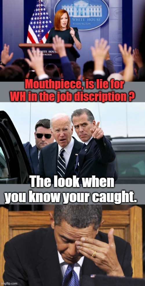 Mouthpiece, is lie for WH in the job discription ? The look when you know your caught. | made w/ Imgflip meme maker