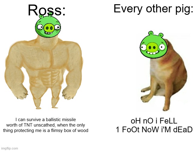 Ross is basically stronger than goku at this point | Ross:; Every other pig:; I can survive a ballistic missile worth of TNT unscathed, when the only thing protecting me is a flimsy box of wood; oH nO i FeLL 1 FoOt NoW i'M dEaD | image tagged in memes,buff doge vs cheems | made w/ Imgflip meme maker