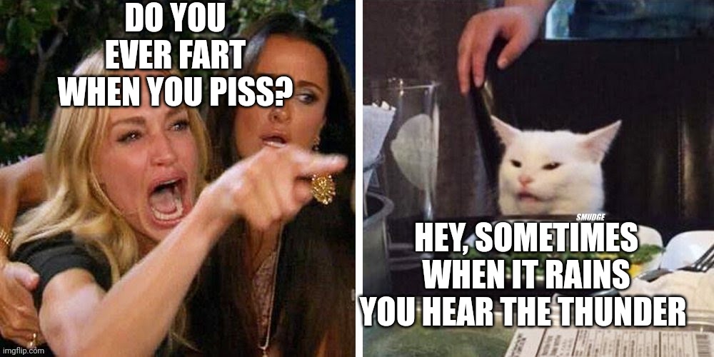 Smudge that darn cat with Karen | DO YOU EVER FART WHEN YOU PISS? HEY, SOMETIMES WHEN IT RAINS YOU HEAR THE THUNDER | image tagged in smudge that darn cat with karen | made w/ Imgflip meme maker