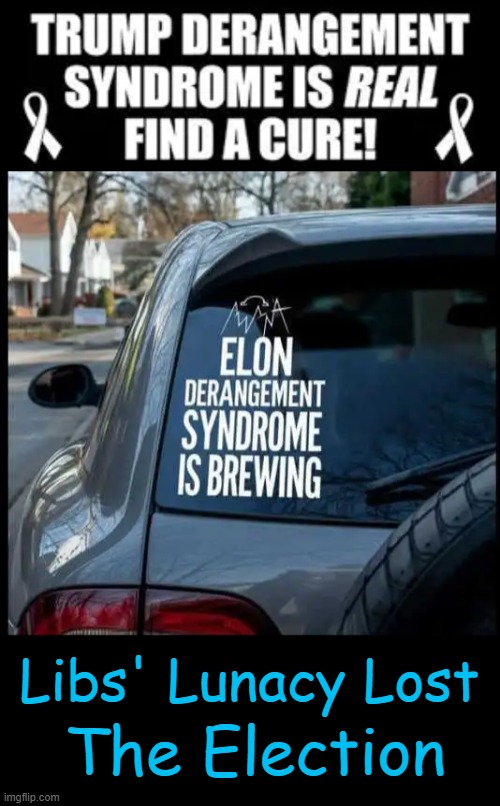 Poor policies, & convoluted thinking but Dems just won't / can't learn! | Libs' Lunacy Lost; The Election | image tagged in liberals,liberalism,is a mental disorder,sickness,donald trump,elon musk | made w/ Imgflip meme maker