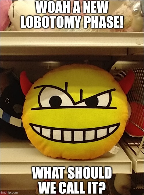 Any ideas? (Taken on November 8, 2024, at a thrift shop) | WOAH A NEW LOBOTOMY PHASE! WHAT SHOULD WE CALL IT? | image tagged in lobotomy,geometry dash,fire in the hole | made w/ Imgflip meme maker