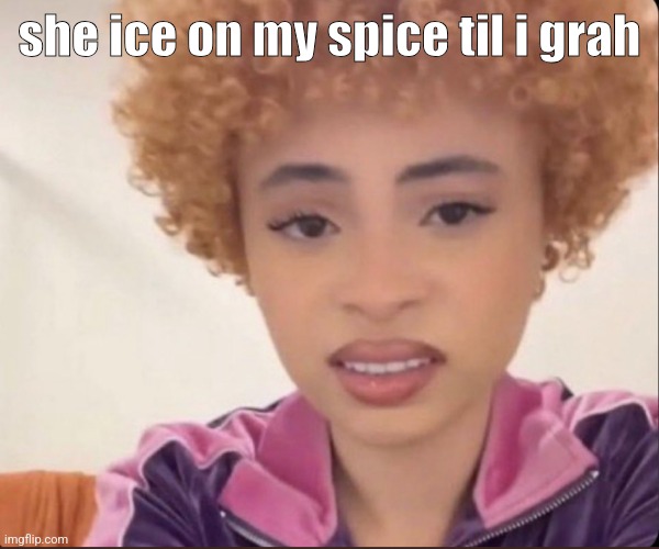 Munch | she ice on my spice til i grah | image tagged in munch | made w/ Imgflip meme maker