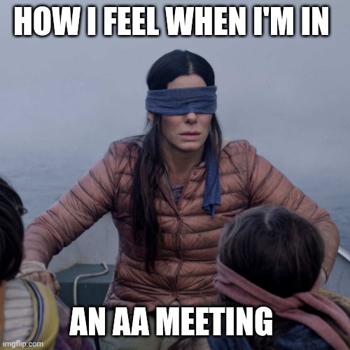 AA meeting | HOW I FEEL WHEN I'M IN; AN AA MEETING | image tagged in memes,bird box,funny memes | made w/ Imgflip meme maker