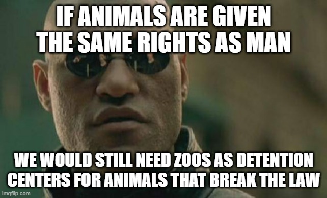 If you are given rights, you are not exempt from law breaking punishments | IF ANIMALS ARE GIVEN THE SAME RIGHTS AS MAN; WE WOULD STILL NEED ZOOS AS DETENTION CENTERS FOR ANIMALS THAT BREAK THE LAW | image tagged in memes,matrix morpheus | made w/ Imgflip meme maker